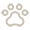 dogs paw