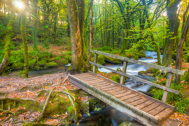 Wooden footbridge over the River Fowey at Golitha Falls in Cornwall