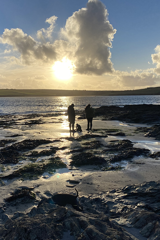 People and a dog walking across a rocky beach at sunset on the North Cornwall coast
